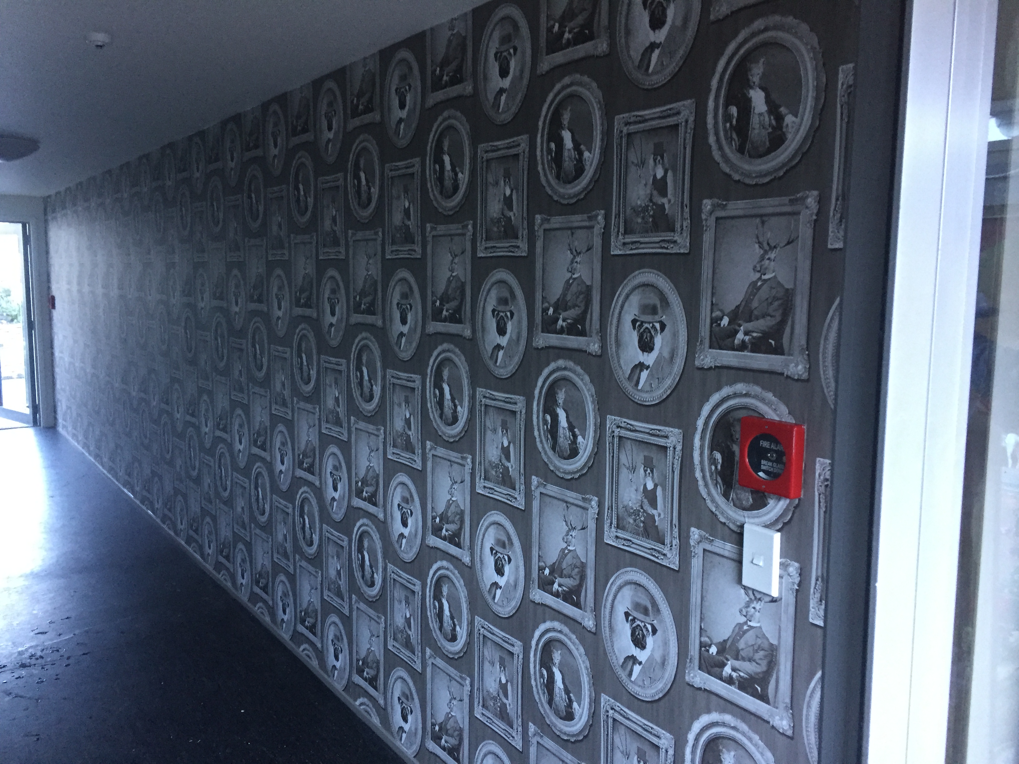 feature wall arrowtown