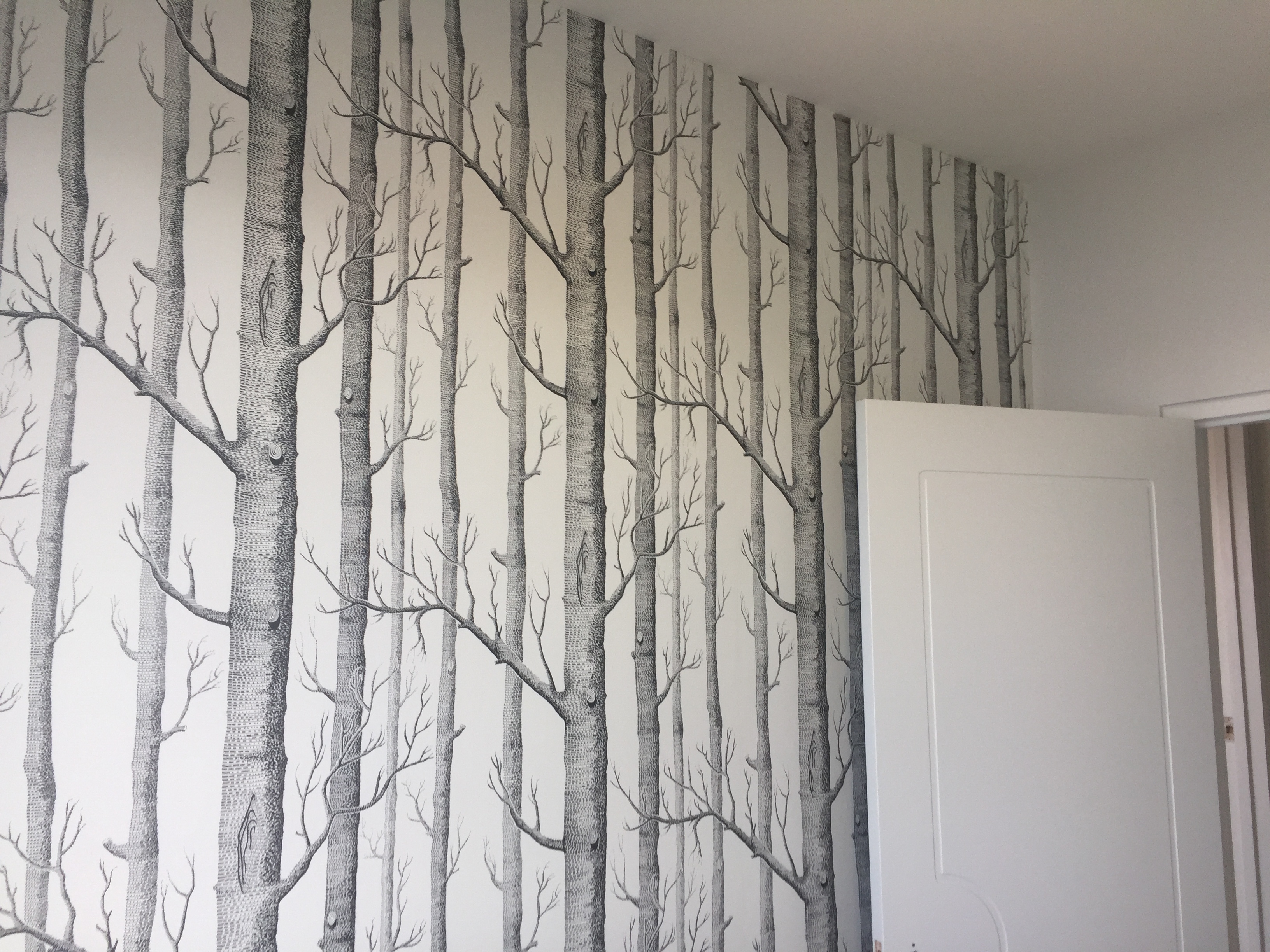 wallpaper bedroom fernhill